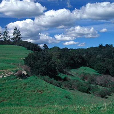 Moore Creek Preserve.png